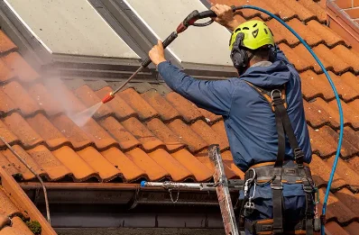 Démoussage et hydrofuge de toiture à Vernas